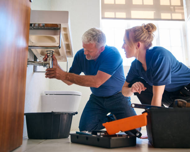 Best Plumbing Inspections & Maintenance in New Tazewell, TN